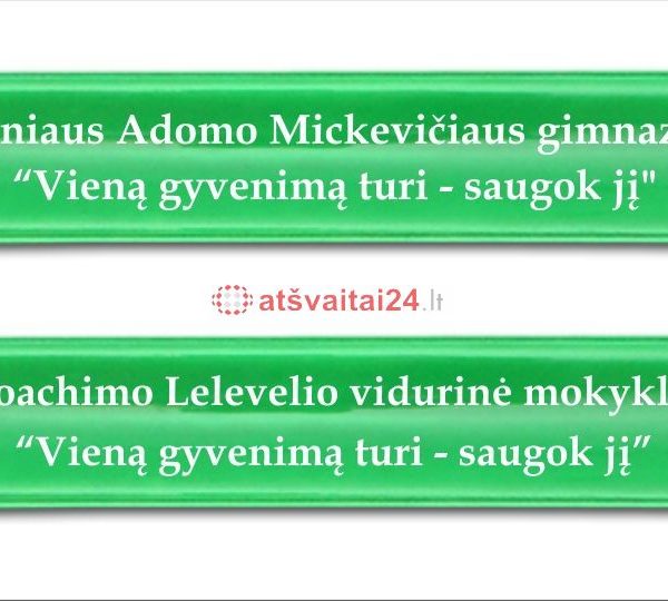 proj1_mickev